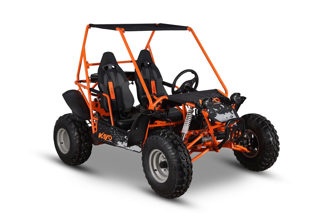 S150 BUGGY - Image 2