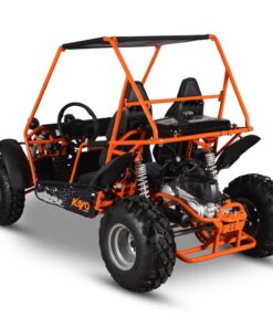 S150 BUGGY - Image 3