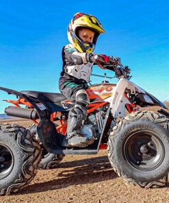 PREDATOR 125 QUAD BIKE - Image 2