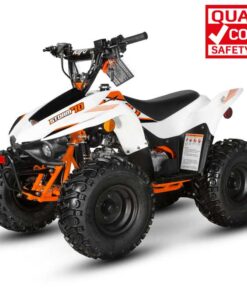 AY70 QUAD BIKE