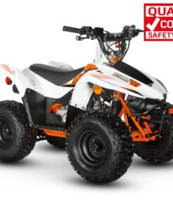 AY70 QUAD BIKE - Image 6