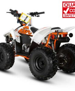 AY70 QUAD BIKE - Image 11