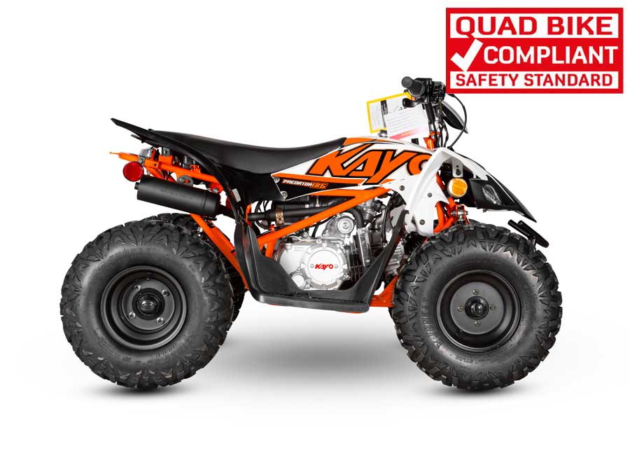 PREDATOR 125 QUAD BIKE - Image 6