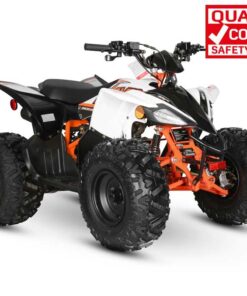 PREDATOR 125 QUAD BIKE - Image 9
