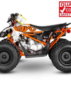 PREDATOR 125 QUAD BIKE - Image 7