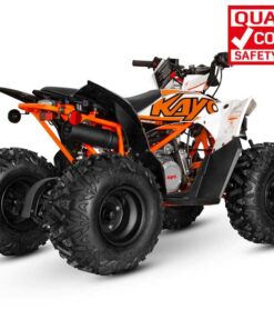 PREDATOR 125 QUAD BIKE - Image 10