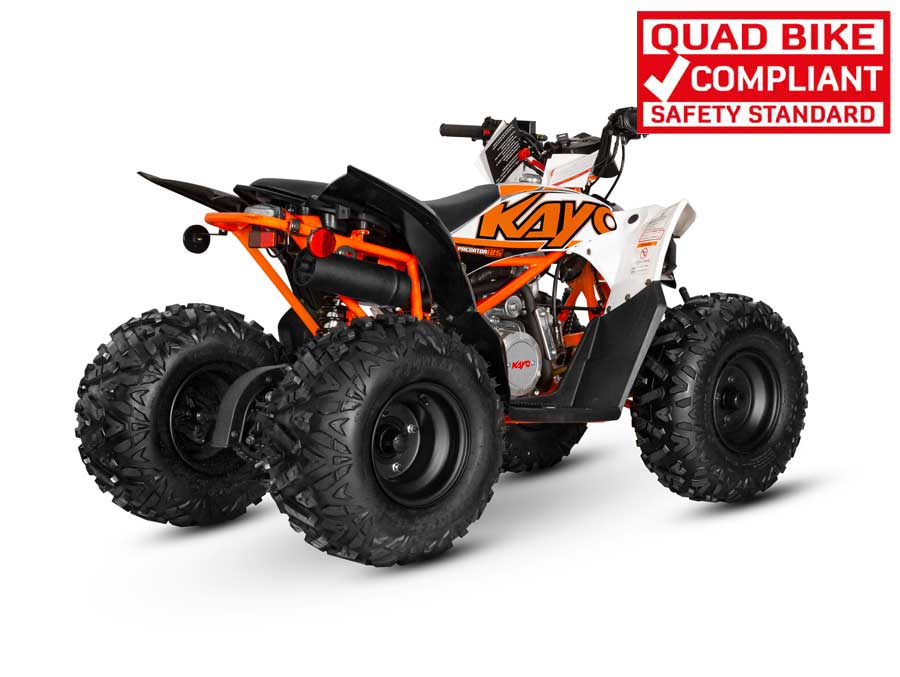 PREDATOR 125 QUAD BIKE - Image 10