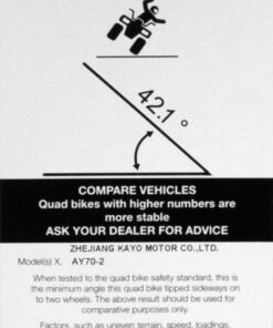 AY70 QUAD BIKE - Image 2
