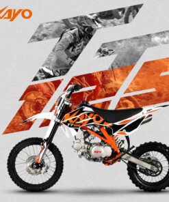 Alternative view of TT 125 DIRT BIKE