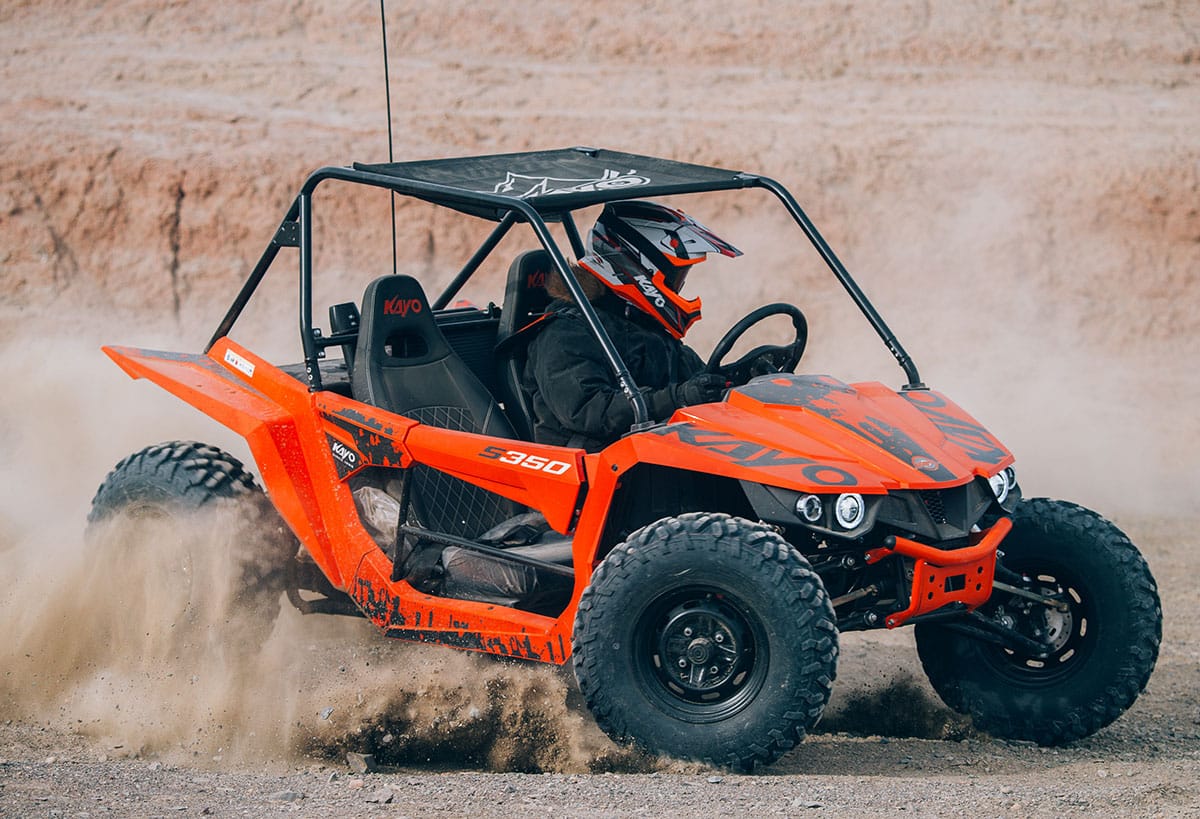 S350 Buggy - Image 16