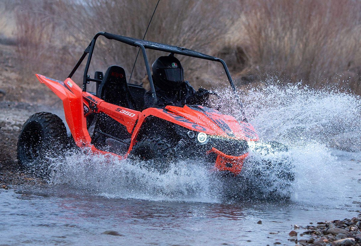 S350 Buggy - Image 15