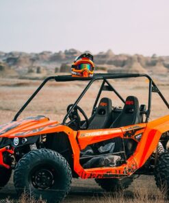 S350 Buggy - Image 14