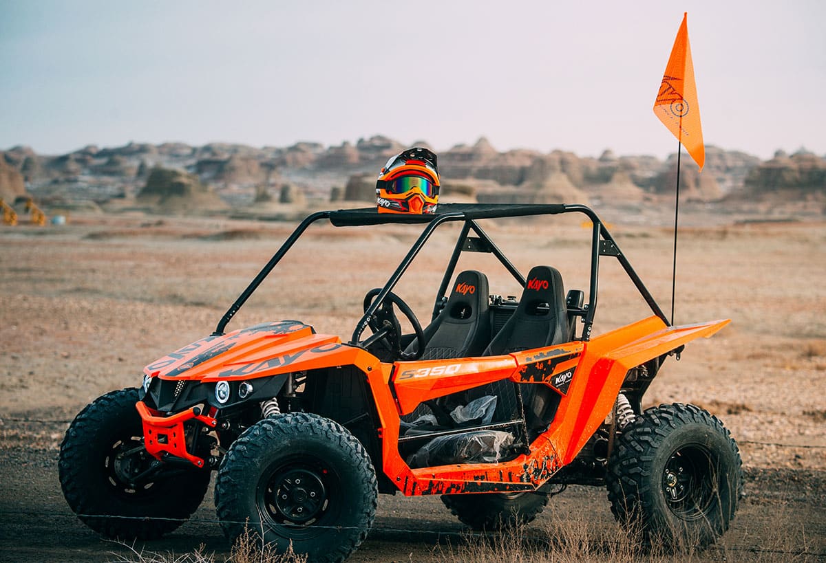 S350 Buggy - Image 14