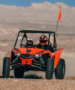 S350 Buggy - Image 13