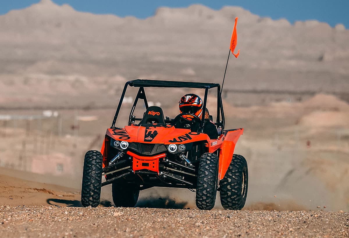 S350 Buggy - Image 13