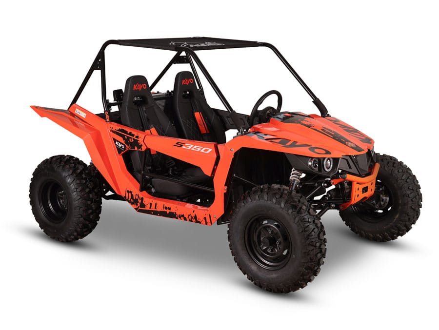 S350 Buggy - Image 11