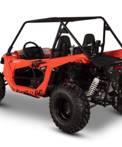 S350 Buggy - Image 8