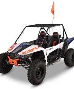 S350 Buggy - Image 7