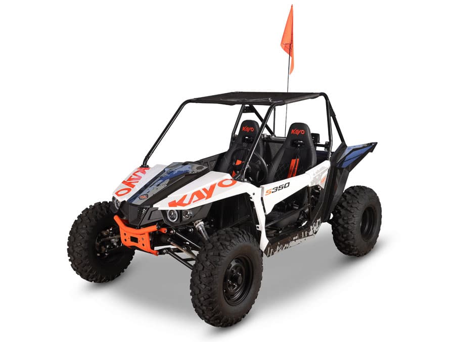 S350 Buggy - Image 7