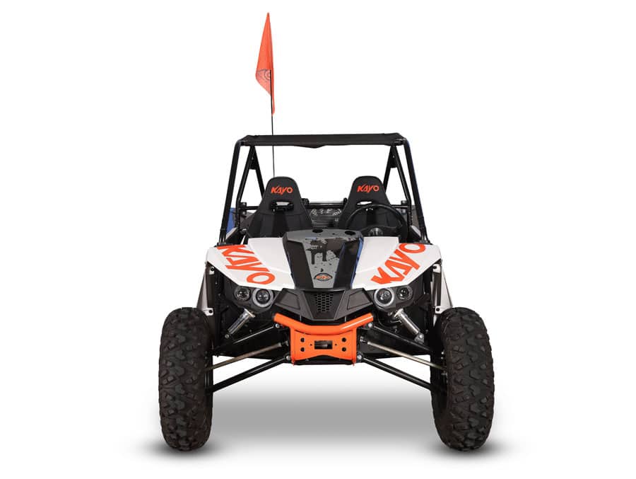 S350 Buggy - Image 6