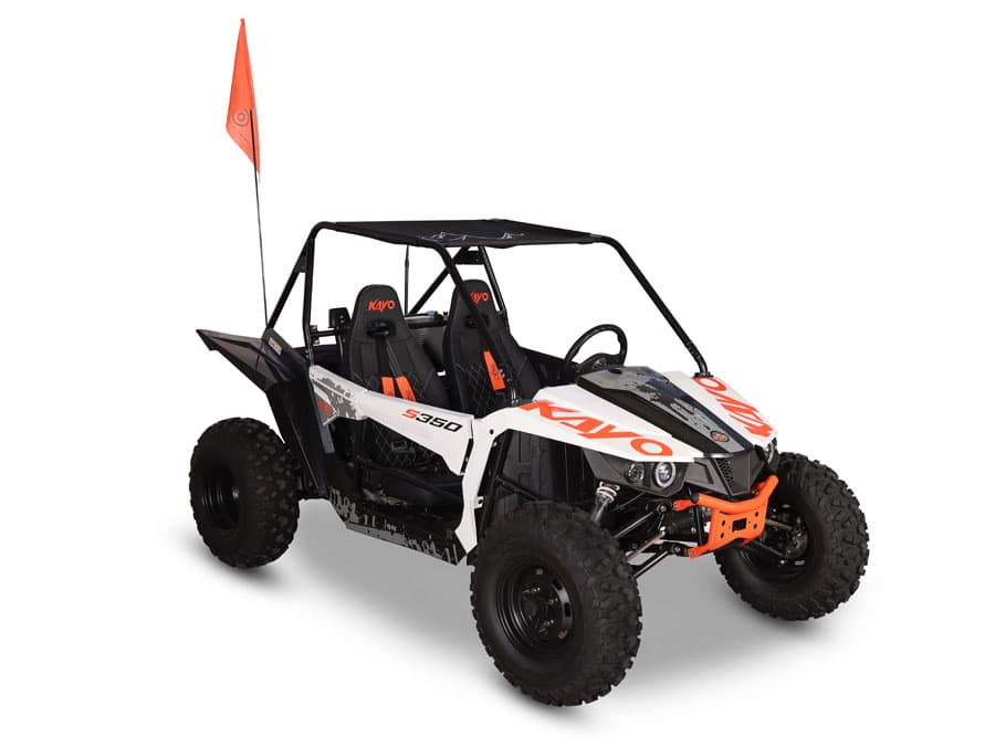 S350 Buggy - Image 5