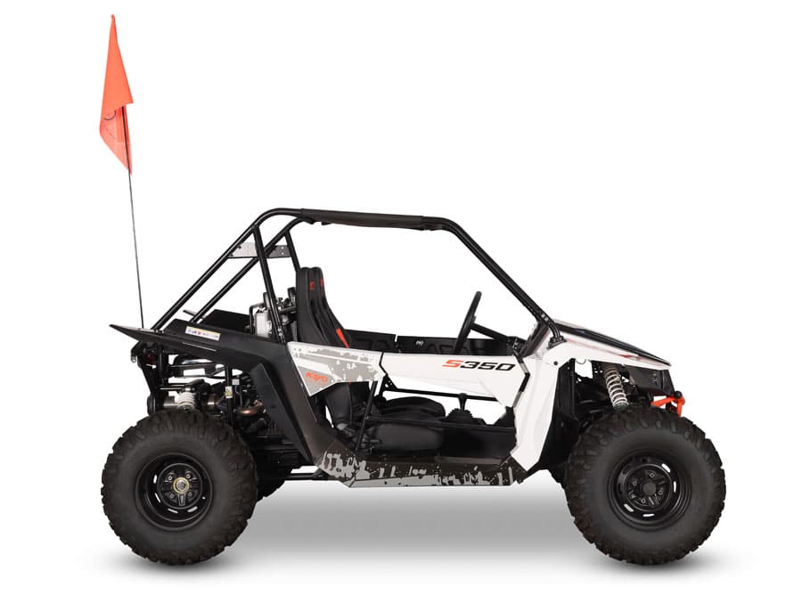 S350 Buggy - Image 4