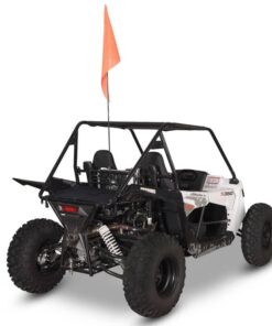 S350 Buggy - Image 3