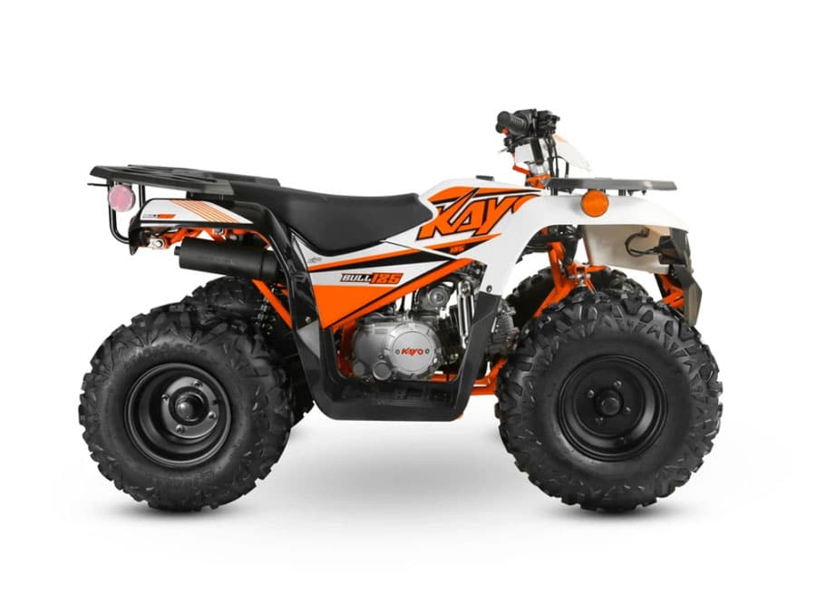 BULL 125 UTILITY QUAD ATV - Image 4