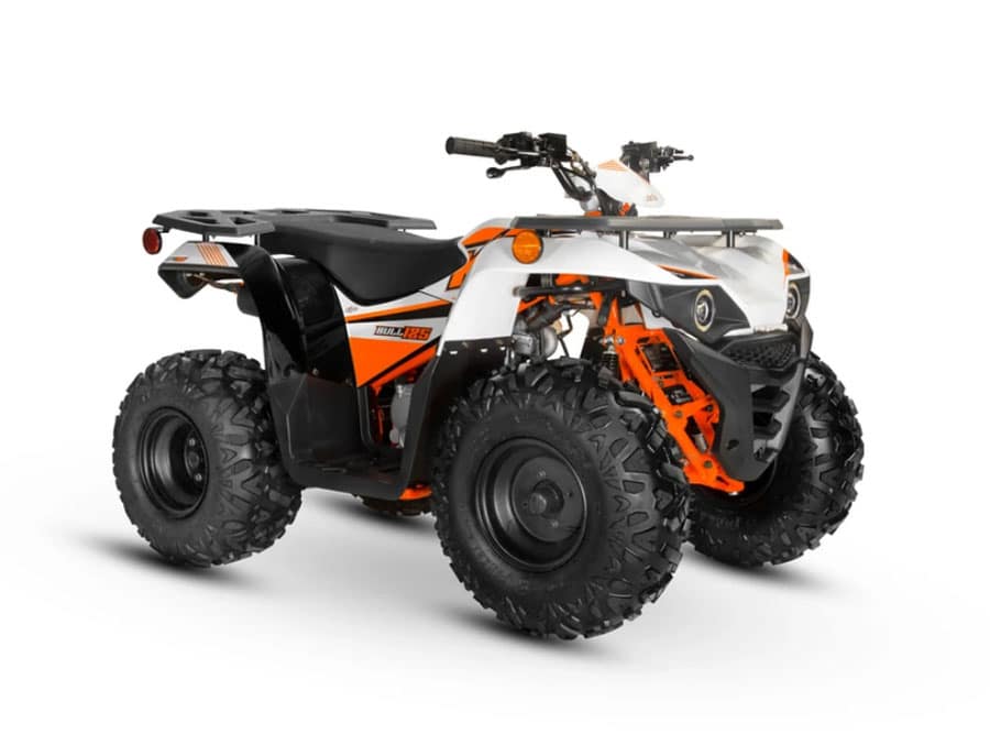BULL 125 UTILITY QUAD ATV - Image 8